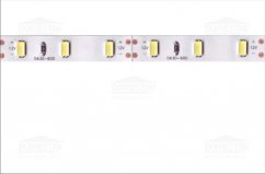 LED pásik 60 LED/m 18W/m biela studená, IP20